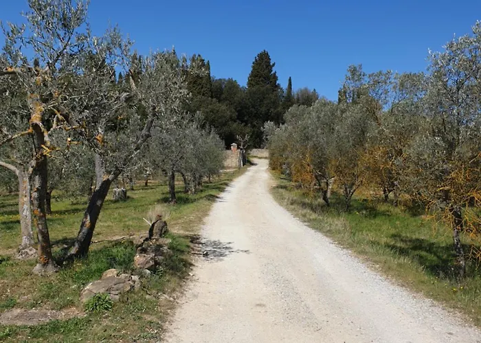 Private Dolce Vita * Lucignano