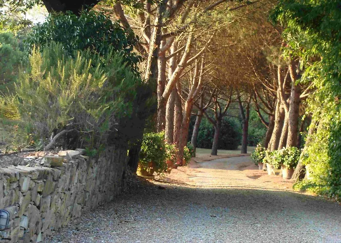 Private Dolce Vita *