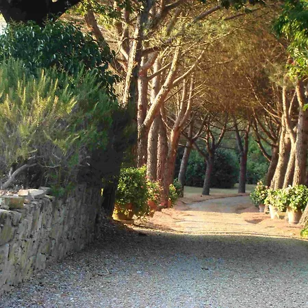 Private Dolce Vita *